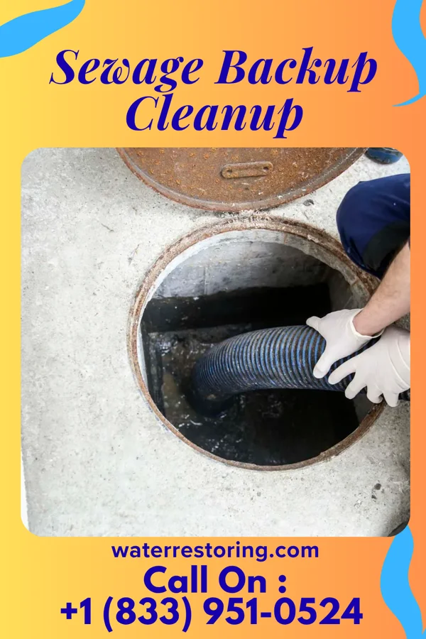 Sewage Backup Cleanup in South Edmeston, NY