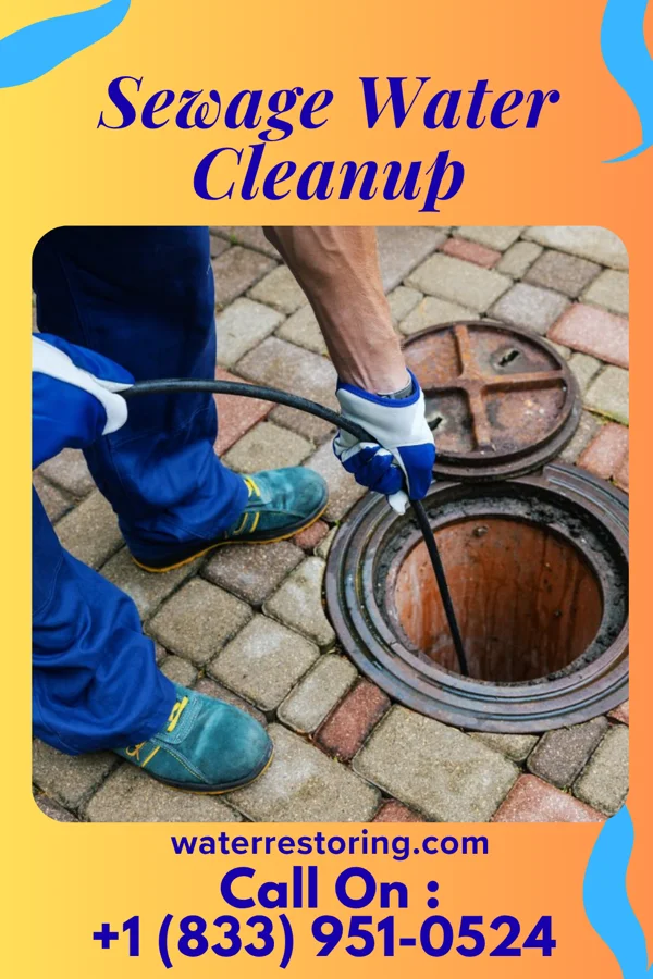 Sewage Water Cleanup in South Edmeston, NY